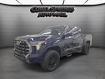 2023 Toyota Tundra 4WD Platinum